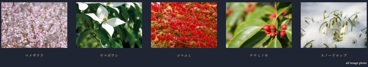 アトラス明大前