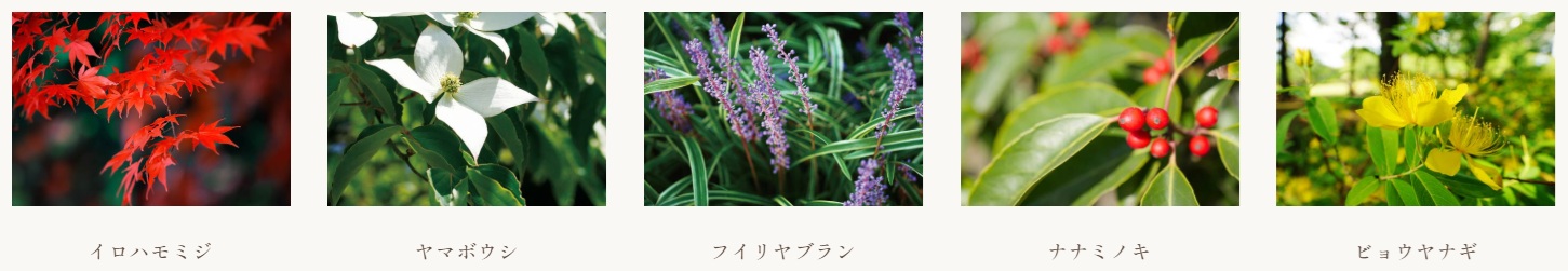 アトラス明大前