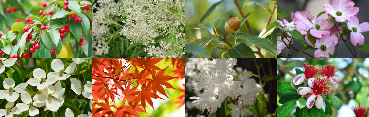 クレヴィア杉並西荻窪