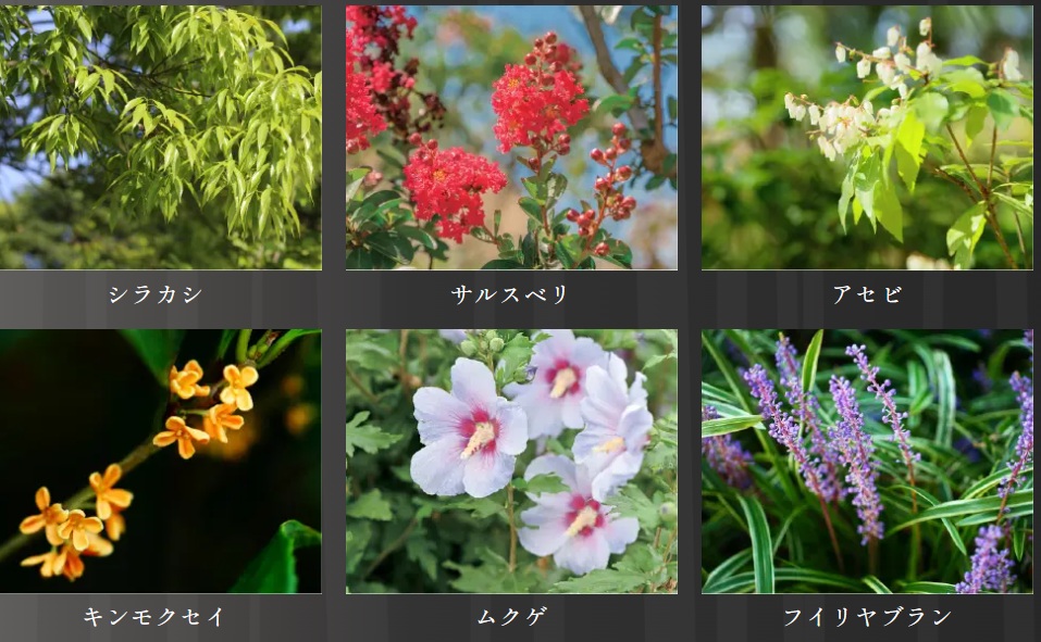 クレヴィア板橋区役所前