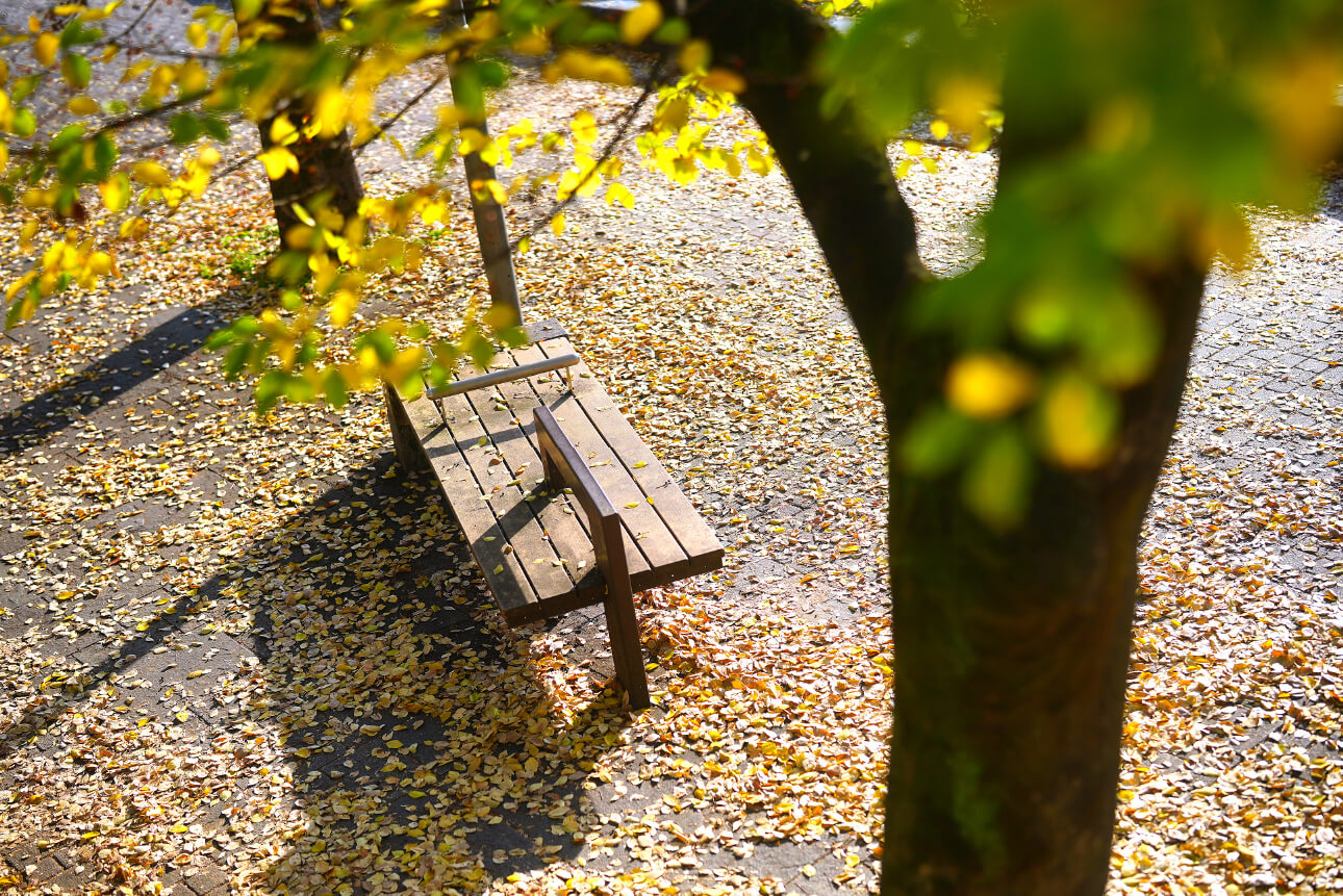 クレヴィア横浜ポートサイド