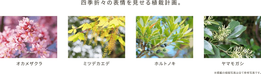 パークホームズ虎ノ門