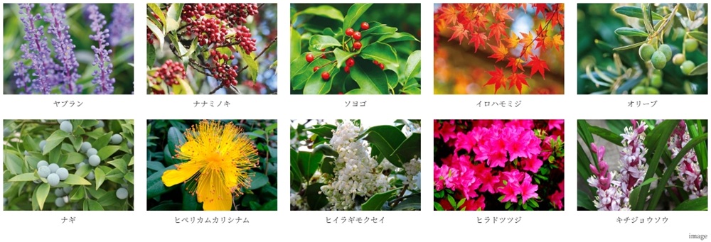 バンベール庄内通 ザ・レジデンス