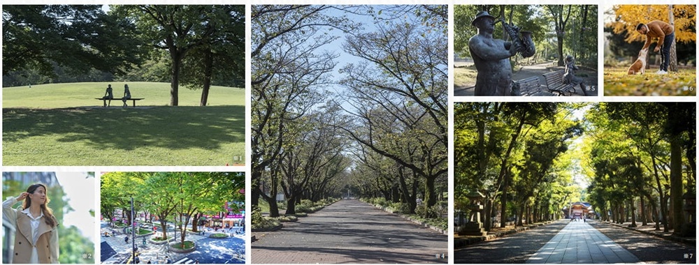 ウィルローズ府中緑町