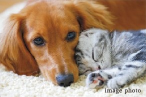 ヴェレーナ横浜岩井町ヒルズ