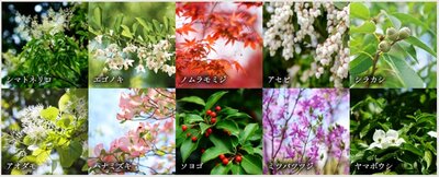 クレヴィア町屋レジデンス