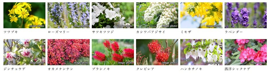 クレヴィア鶴見花月園公園