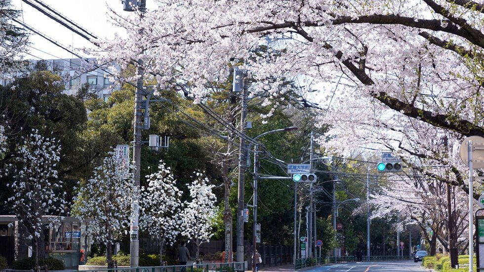 クレヴィア江古田