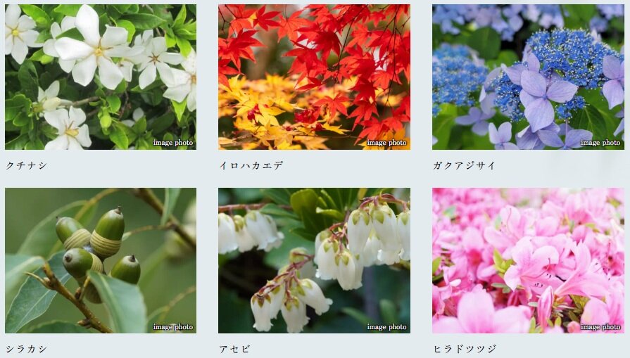 クレヴィア世田谷砧ザ・コート