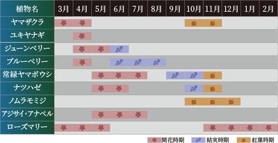 クレヴィア練馬レジデンス