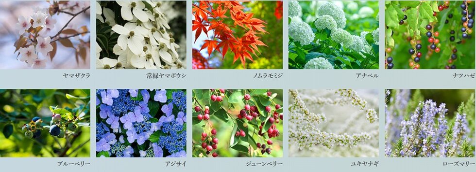 クレヴィア練馬レジデンス