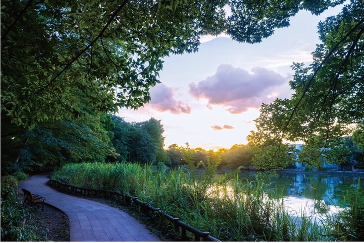 クレヴィア石神井公園