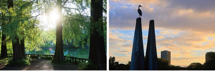 クレヴィア石神井公園