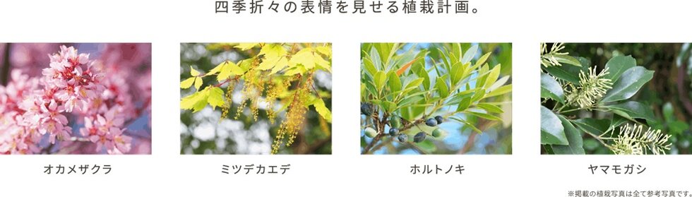 パークホームズ虎ノ門
