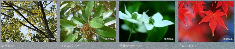 ポレスター本厚木ザ・レジデンス