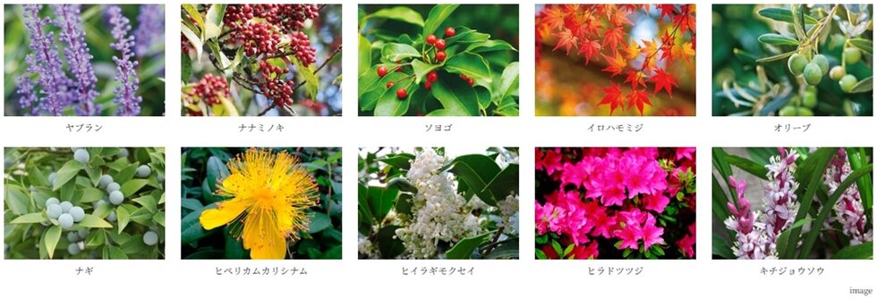 バンベール庄内通 ザ・レジデンス