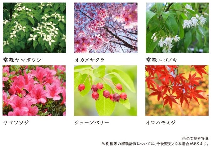 ヴェレーナ横浜岩井町ヒルズ