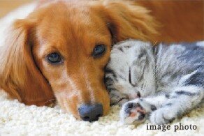 ヴェレーナ横浜岩井町ヒルズ