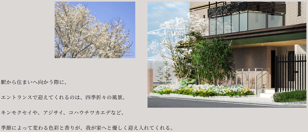 ブランシエラ横浜蒔田