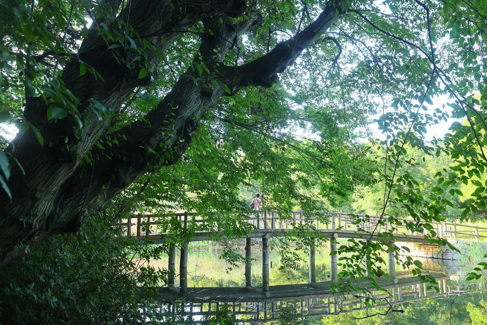 グランドメゾン THE 石神井公園
