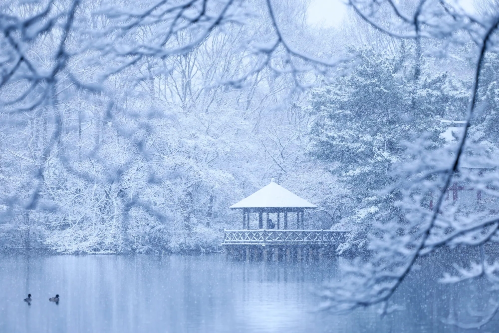 グランドメゾン THE 石神井公園