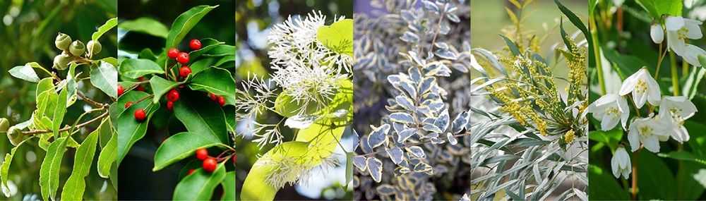 シエリア久屋大通公園