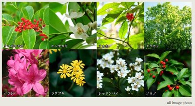 アドグランデ相模原