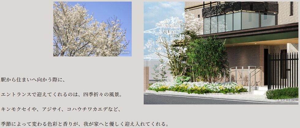 ブランシエラ横浜蒔田