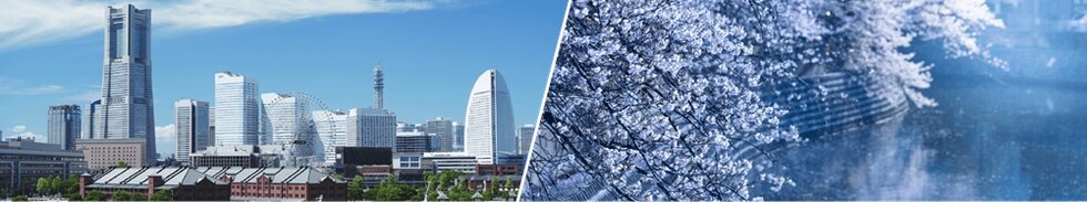 ブランシエラ横浜蒔田