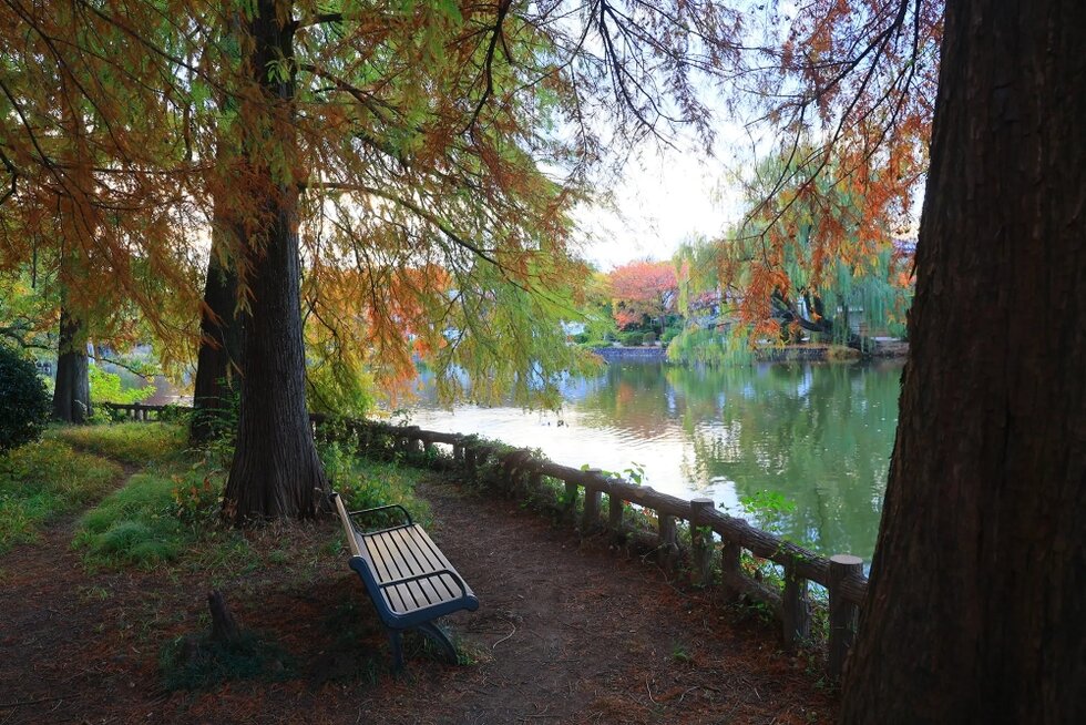 グランドメゾン THE 石神井公園