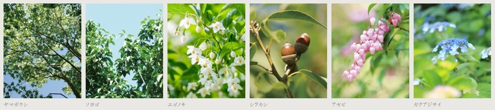 プレミスト甲子園口