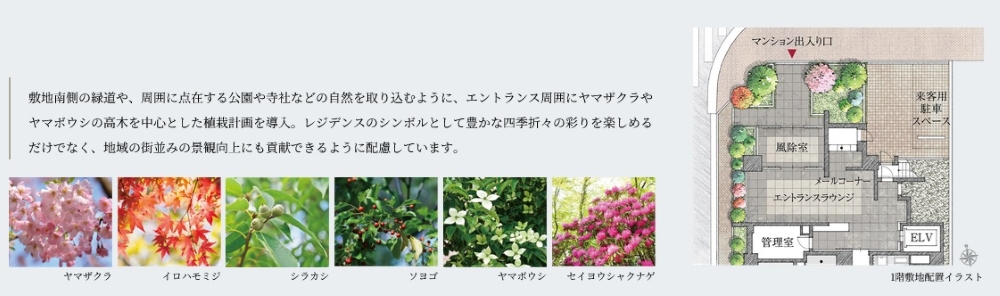 レジデンシャル高円寺