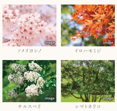 オーヴィジョン桜坂