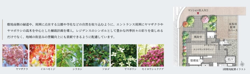 レジデンシャル高円寺