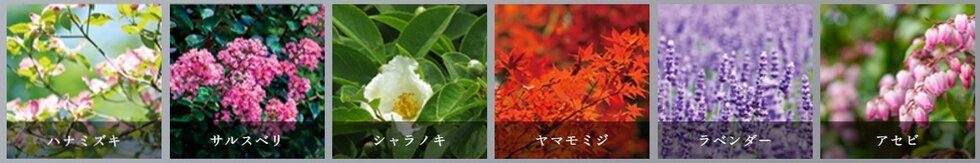 クレアホームズ盛岡センタープレイス