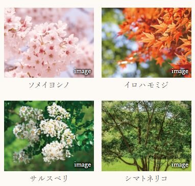 オーヴィジョン桜坂