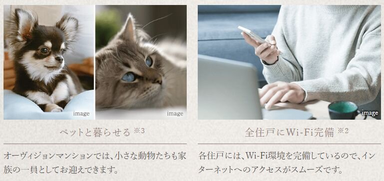 オーヴィジョン桜坂