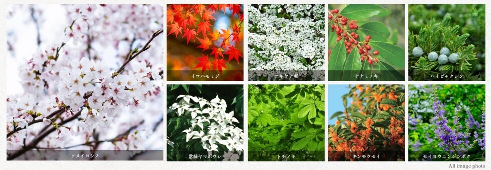 ヴェレーナ亀戸中央公園
