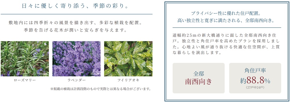 サンクレイドル船堀IV