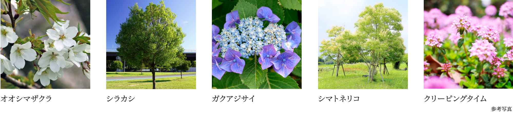 パークホームズ湘南茅ヶ崎