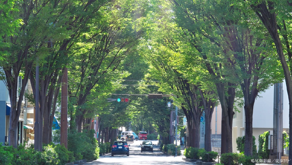 パークホームズ芦屋茶屋之町　桜憬邸