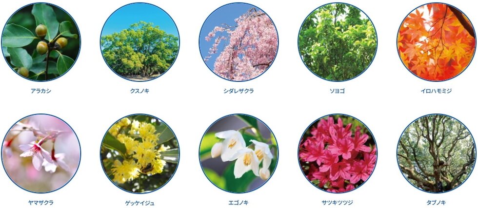 サンリヤン流山パークナード