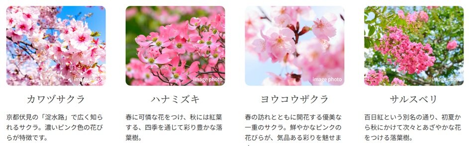 KYOTO COCO CITY