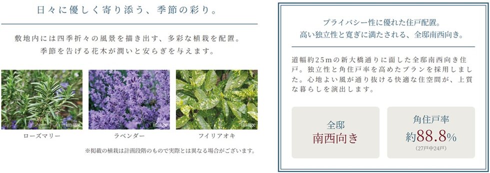サンクレイドル船堀IV