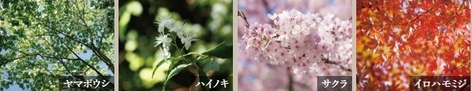 モンドミオ福岡博多 HIGASHIHIE STATION