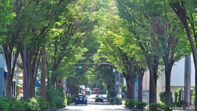 パークホームズ芦屋茶屋之町　桜憬邸