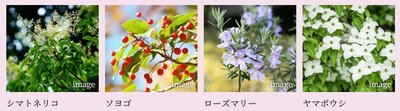 プレサンス ロジェ 喜連ミッドテラス