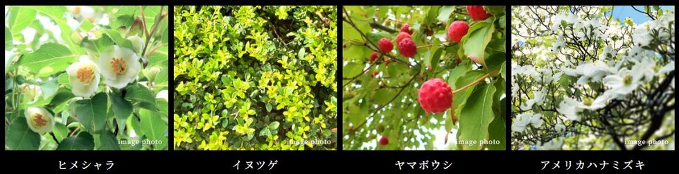 ブリシア上板橋