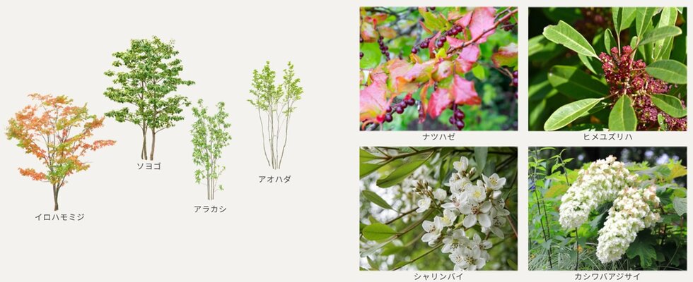 ファインレジデンス川越新富町ステーションテラス