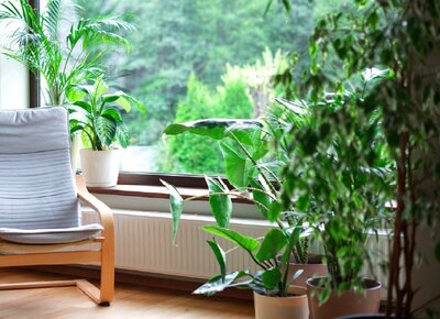 グランドメゾン渋谷大山町
